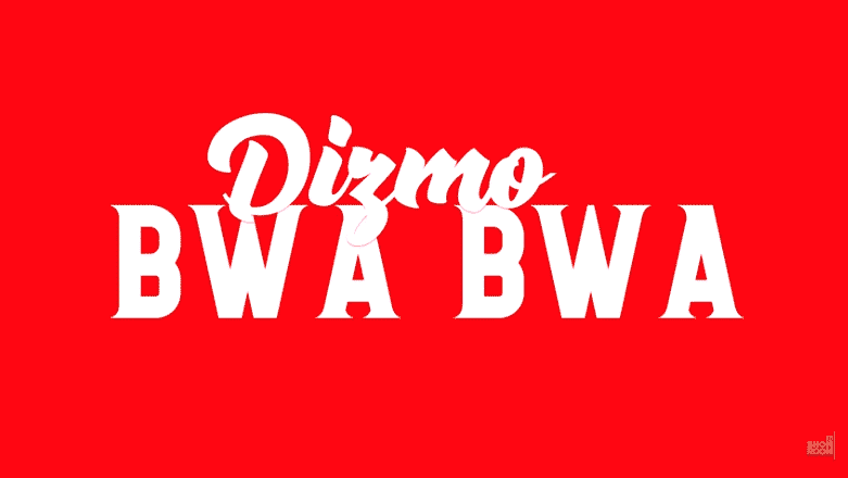 Dizmo - Bwa Bwa | The Showroom session