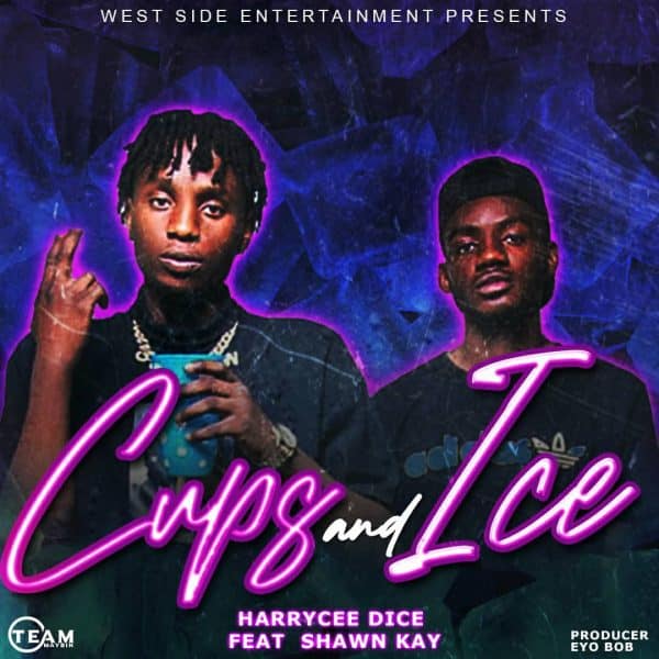 HarryCee Dice ft. Shawn Kay - Cups and Ice
