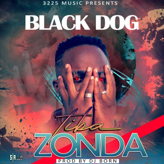 Black Dog - Tiba Zonda