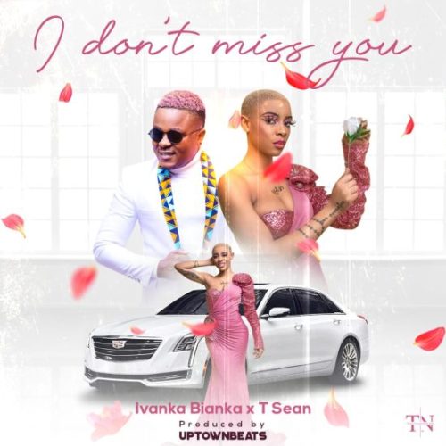 Ivanka Bianca ft. T Sean - I Dont Miss You Mp3 Download