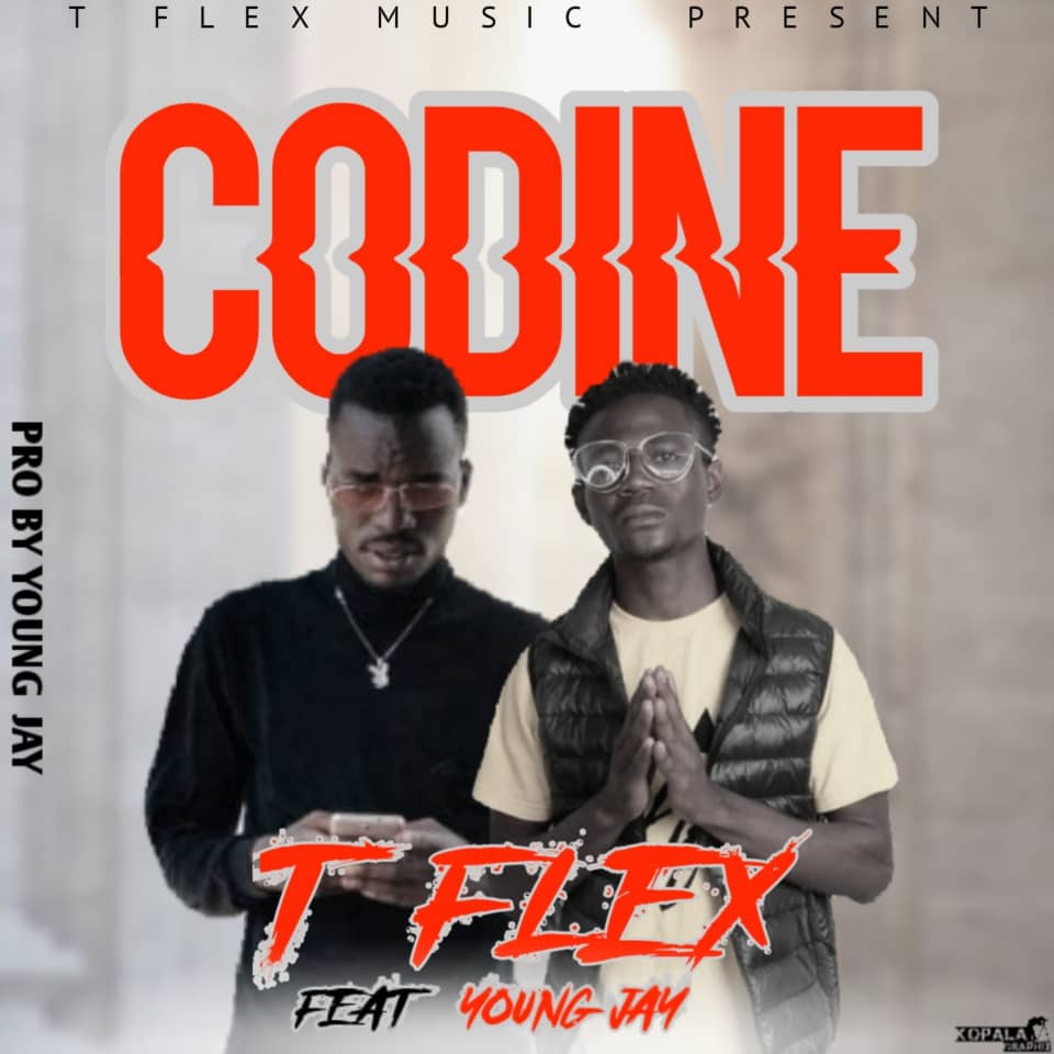 T Flex ft. Young Jay - Coodine Mp3 Download