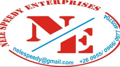 Nele Speedy Enterprises - Can Do It Mp3 Download