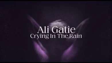Download Ali Gatie - Crying In The Rain Mp3