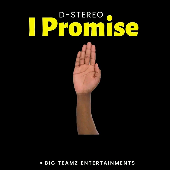 D Stereo - I Promise Mp3 Download