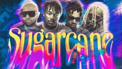 Sugarcane Remix Mp3 Download