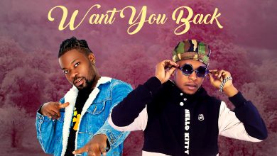Dj Trust ft I Skine & J Mafia - Want You Back Mp3 Download