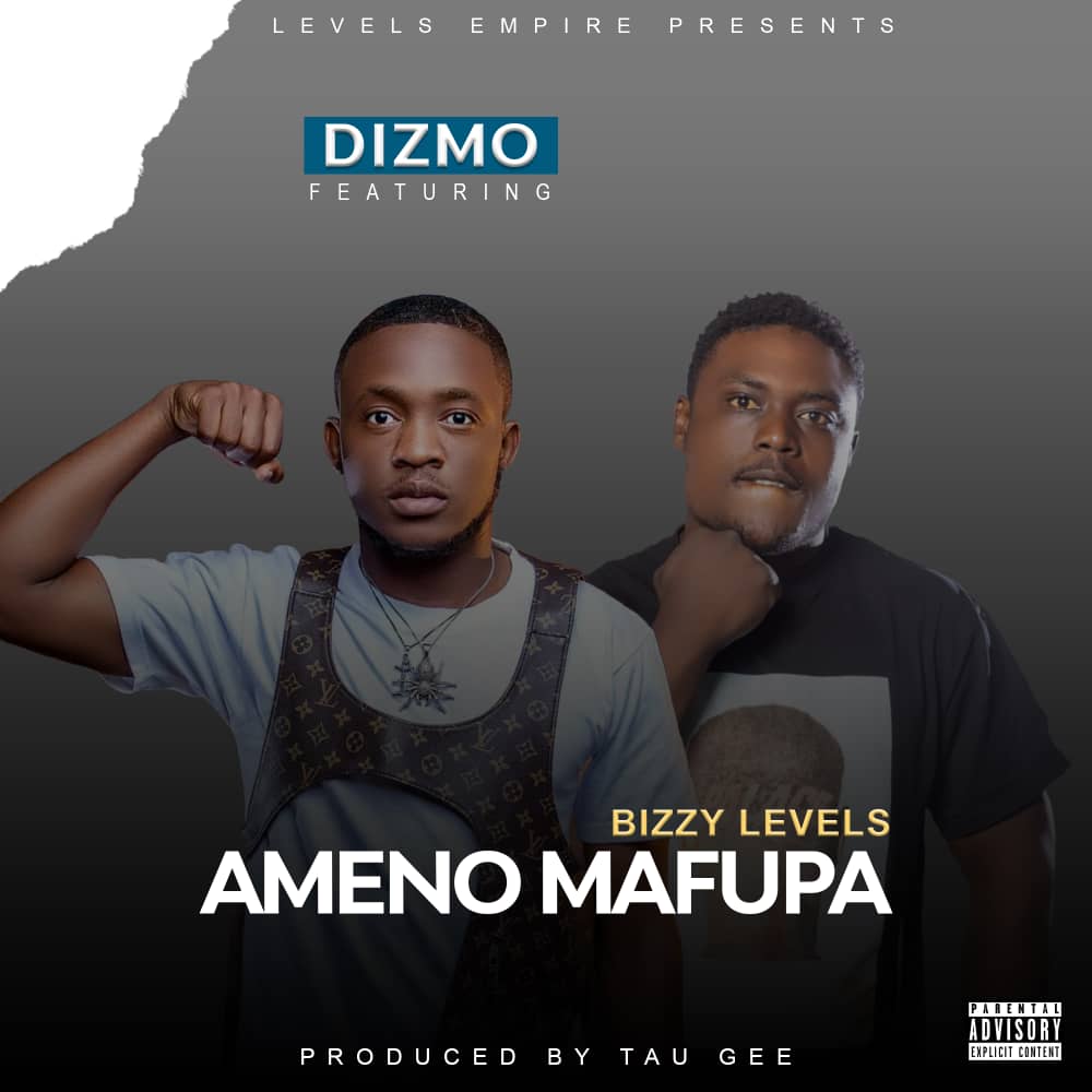Dizmo Ft. Bizzy Levels - Ameno Mafupa Mp3 Download