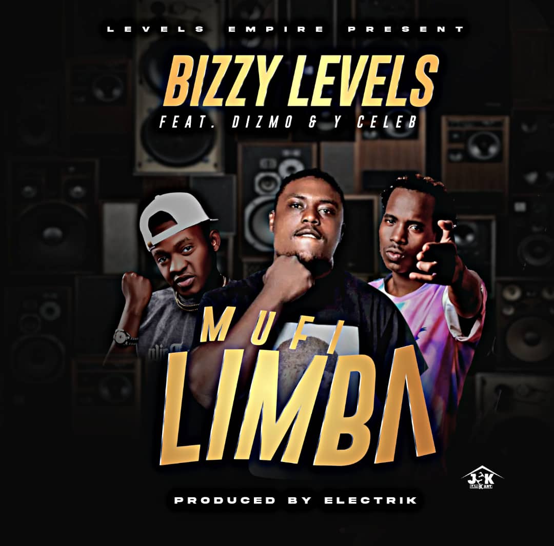 Bizzy Levels ft Dizmo & Y Celeb - Mufi Limbi Mp3 Download