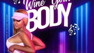 Shenky ft. Rich Bizzy - Wine Your Body Mp3 Download