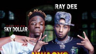 Ray Dee Ft Sky Dollar – Uwaoyo Waoyo Mp3 Download