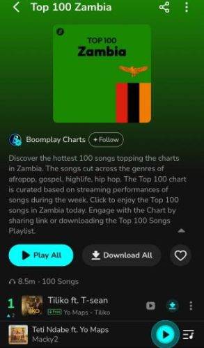  top 100 Zambian music
