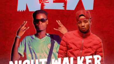 Night Walker Ft. Ray Dee - New Level Mp3 Download
