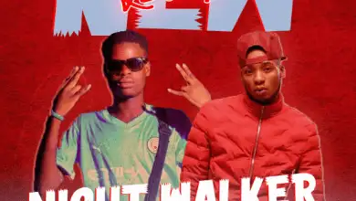 Night Walker Ft. Ray Dee - New Level Mp3 Download