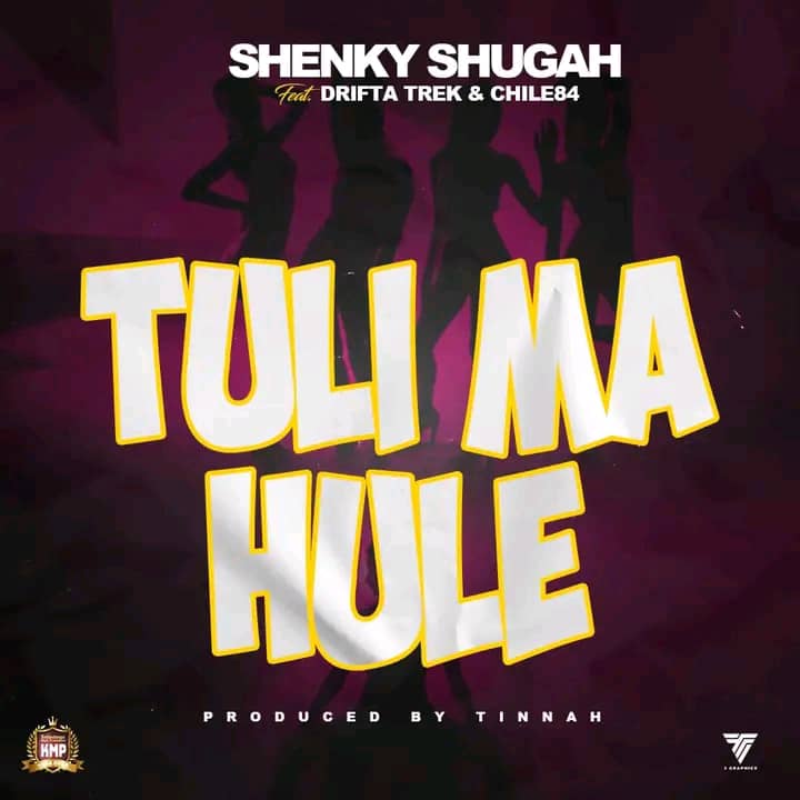 Shenky - Tuli Ma Hule Mp3 Download, Shenky ft. Drifta Trek, Chile 84