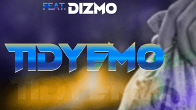 Steve Jay ft Dizmo - Tidyemo