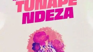 Ibraah Ft. Harmonize - Tunapendeza Mp3 Download