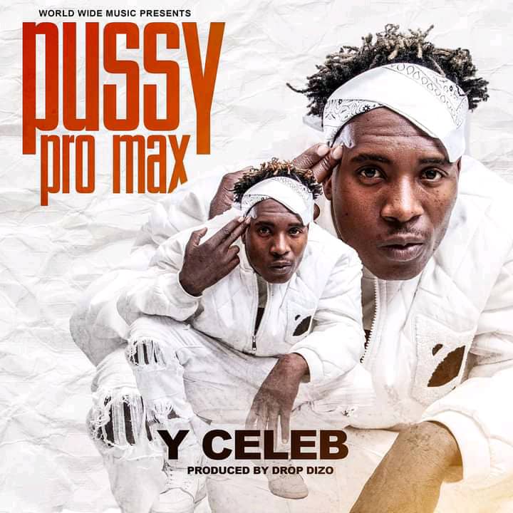 Y Celeb – Pussy Pro Max Mp3 Download 
