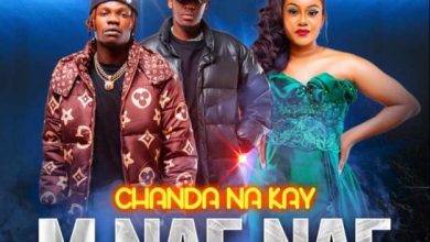 Chanda Na Kay – M Nae Nae Mp3 Download
