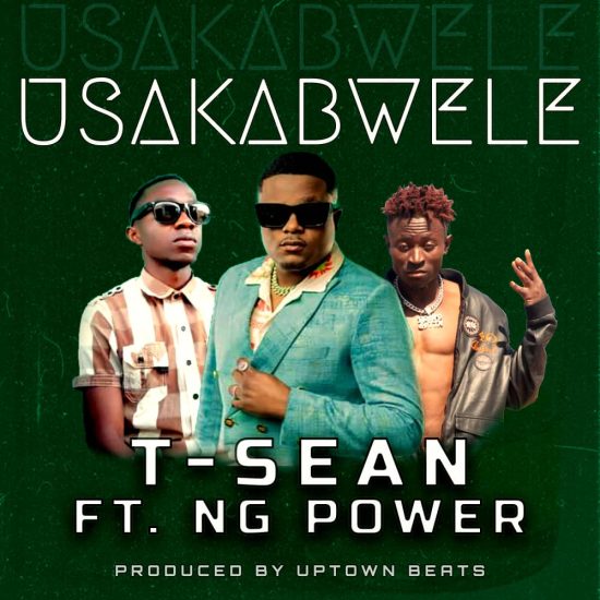 T Sean ft N.G. Power - Usakabwele Mp3 Download
