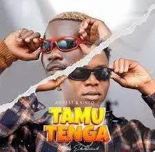 Kineo & Aidfest - Tamutenga Mp3 Download