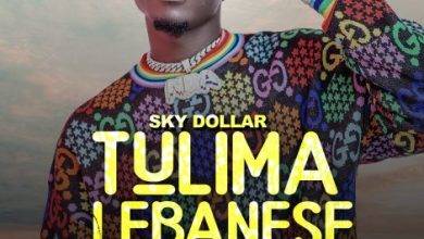Sky Dollar – Tuli Ma Lebanese (Remix Gingo) Mp3 Download