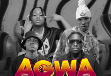 Dollar Company ft B Quan & Blood Kid - Agwa