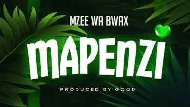 Mzee Wa Bwax - Mapenzi Mp3 Download