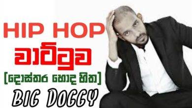 Hiphop Wattuwa - Big Doggy.Mp3 Download