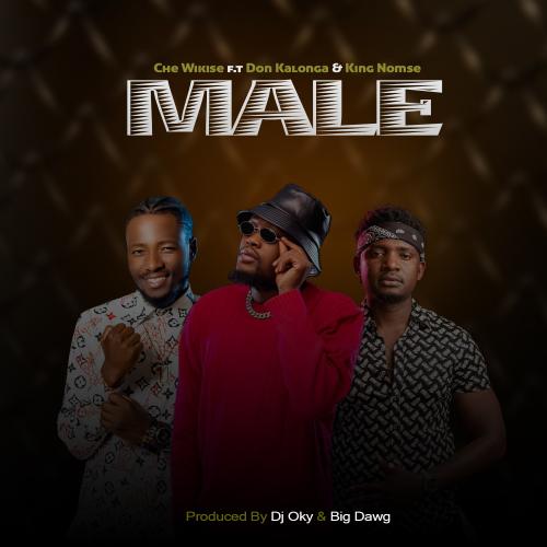 Wikise Ft. Don Kalonga – Male Mp3 Download