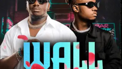 Jorzi Ft. Triple M – Wall Fence Mp3 Download