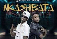 Dizmo ft Chef 187 - Nkashibata Mp3 Download