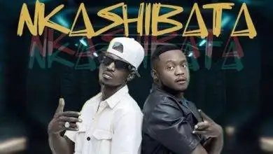 Dizmo ft Chef 187 - Nkashibata Mp3 Download