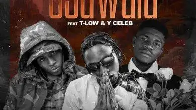 DMan Vibes ft T Low & Y Celeb - Osawala