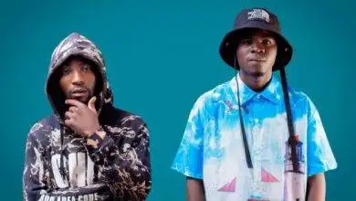 Palavi x Waga - Napapata Mp3 Download 