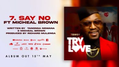 T Bwoy ft Micheal Brown - Say No Mp3 Download