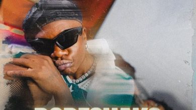 Selemanyo - Dodeshako Mp3 Download 