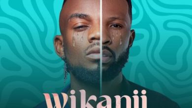 HD Empire – Wikanjipaisha Mp3 Download