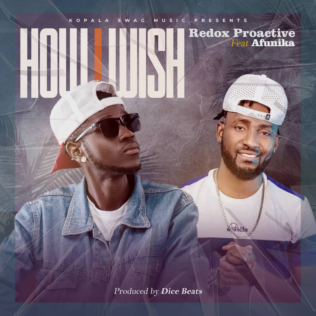 Redox Proactive ft Afunika - How I Wish